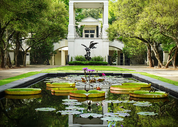 Lily Pond